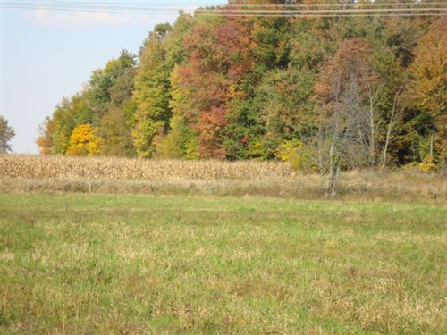 Property photo 8 - 145+/- Acres Offered in 6 Tracts Real Estate Auction